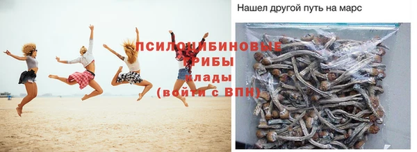 не бодяженный Арсеньев