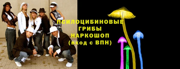 не бодяженный Арсеньев