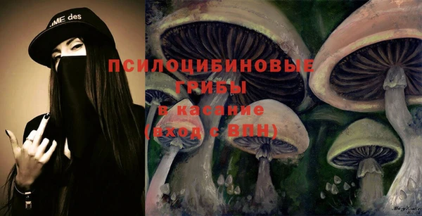 мет Аркадак