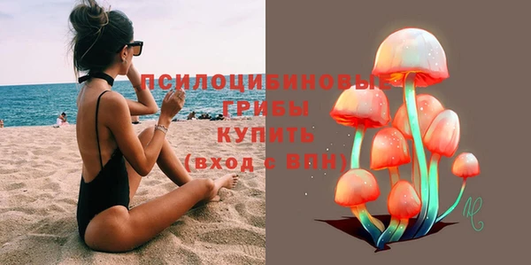 мет Аркадак