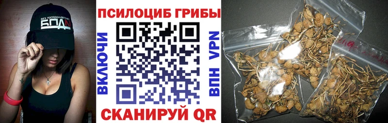 Галлюциногенные грибы GOLDEN TEACHER  Менделеевск 